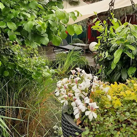 Stuermer * 诺德豪森