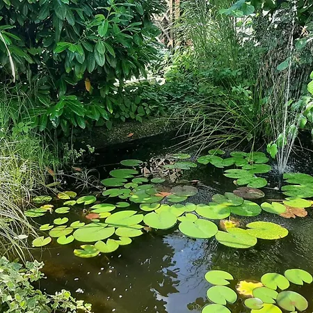 Stuermer Lejlighed *