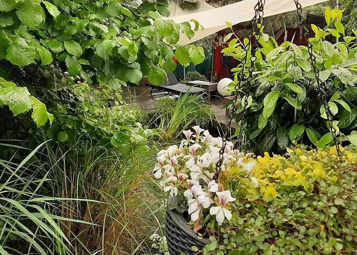 Stuermer * Nordhausen