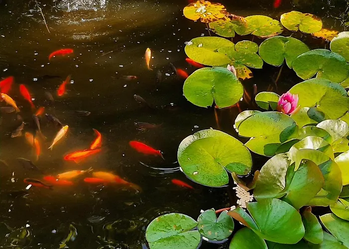 Stuermer Appartement *